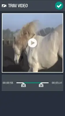 Video Editor android App screenshot 4